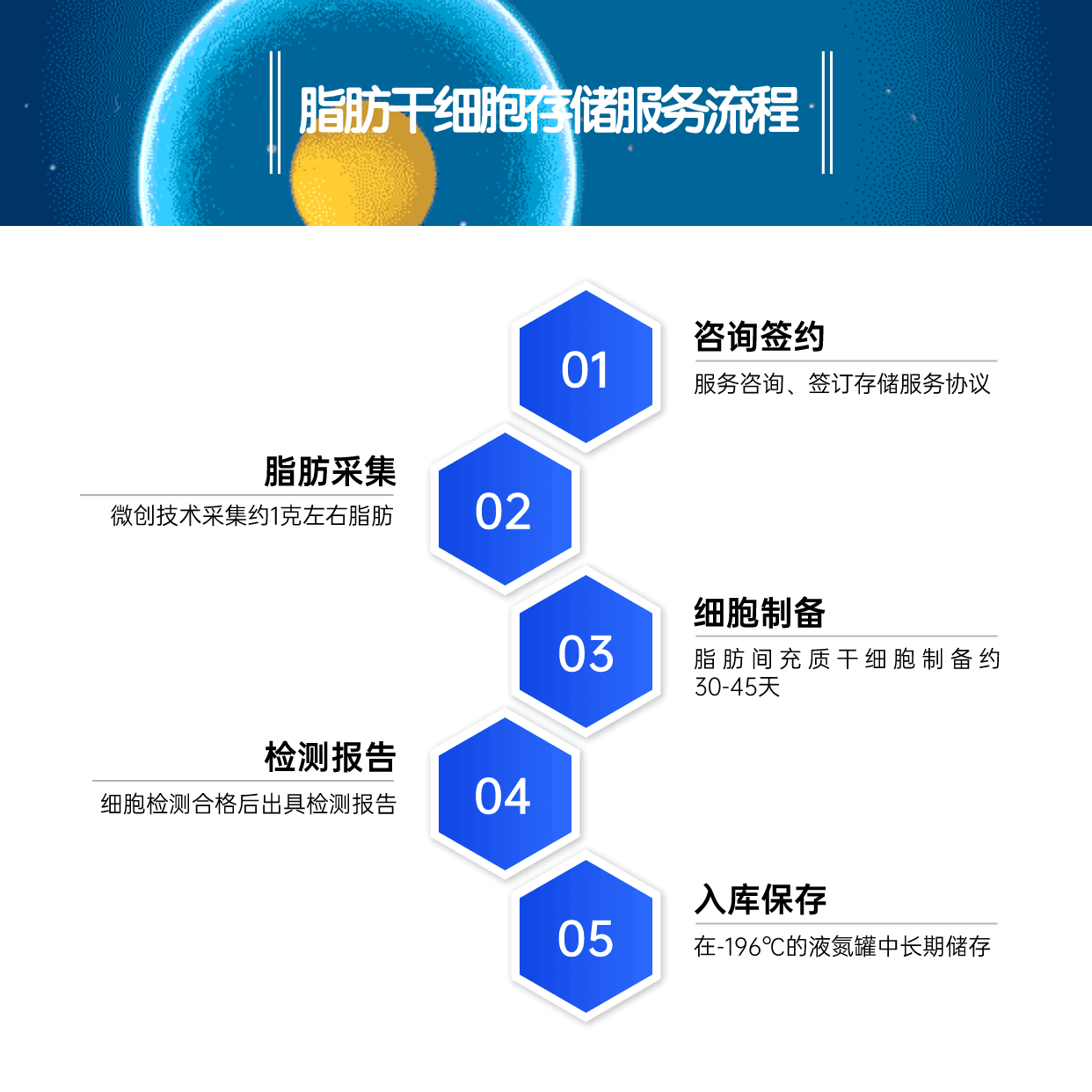 脂肪干存储流程.gif