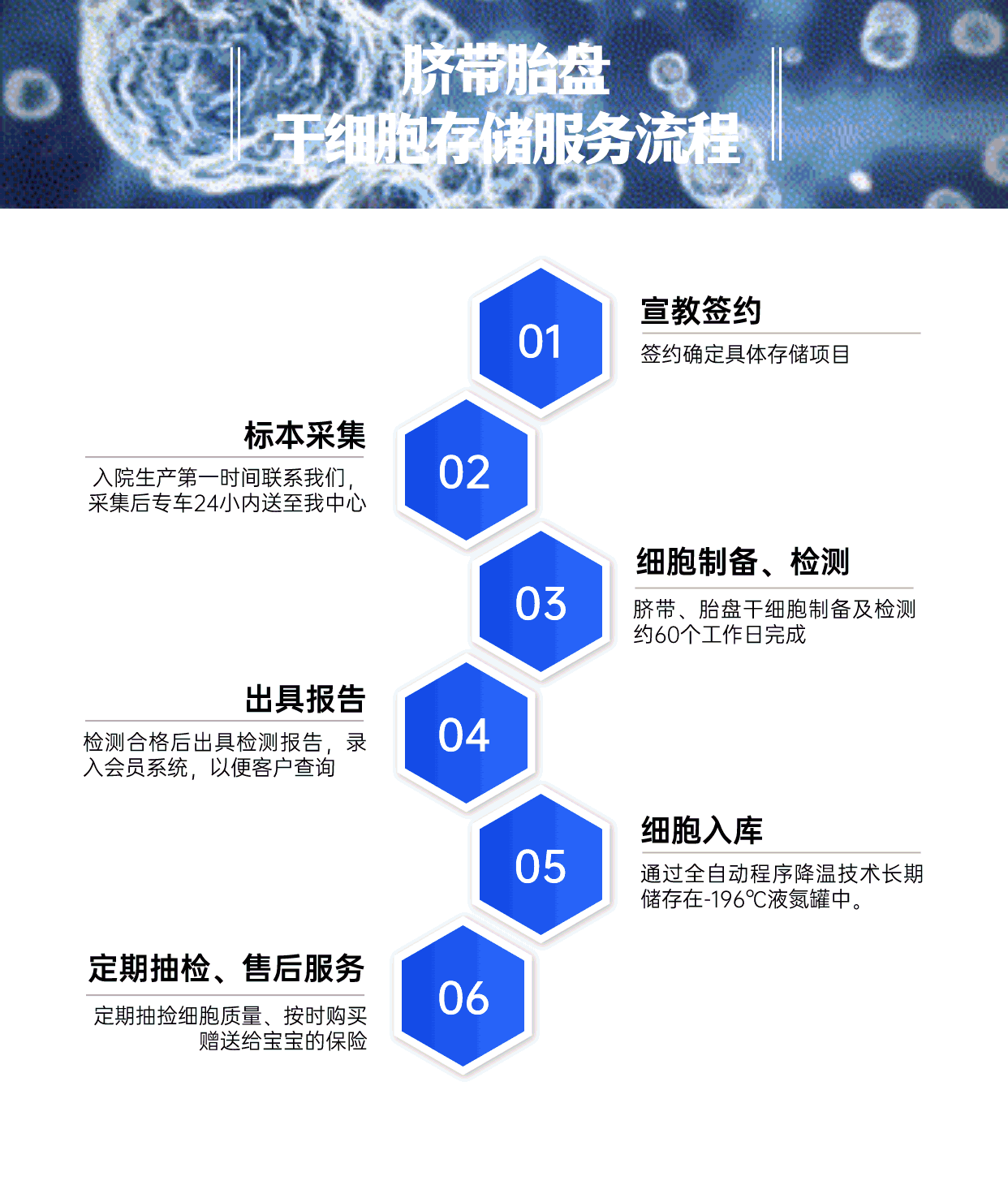 脐带胎盘存储流程.gif