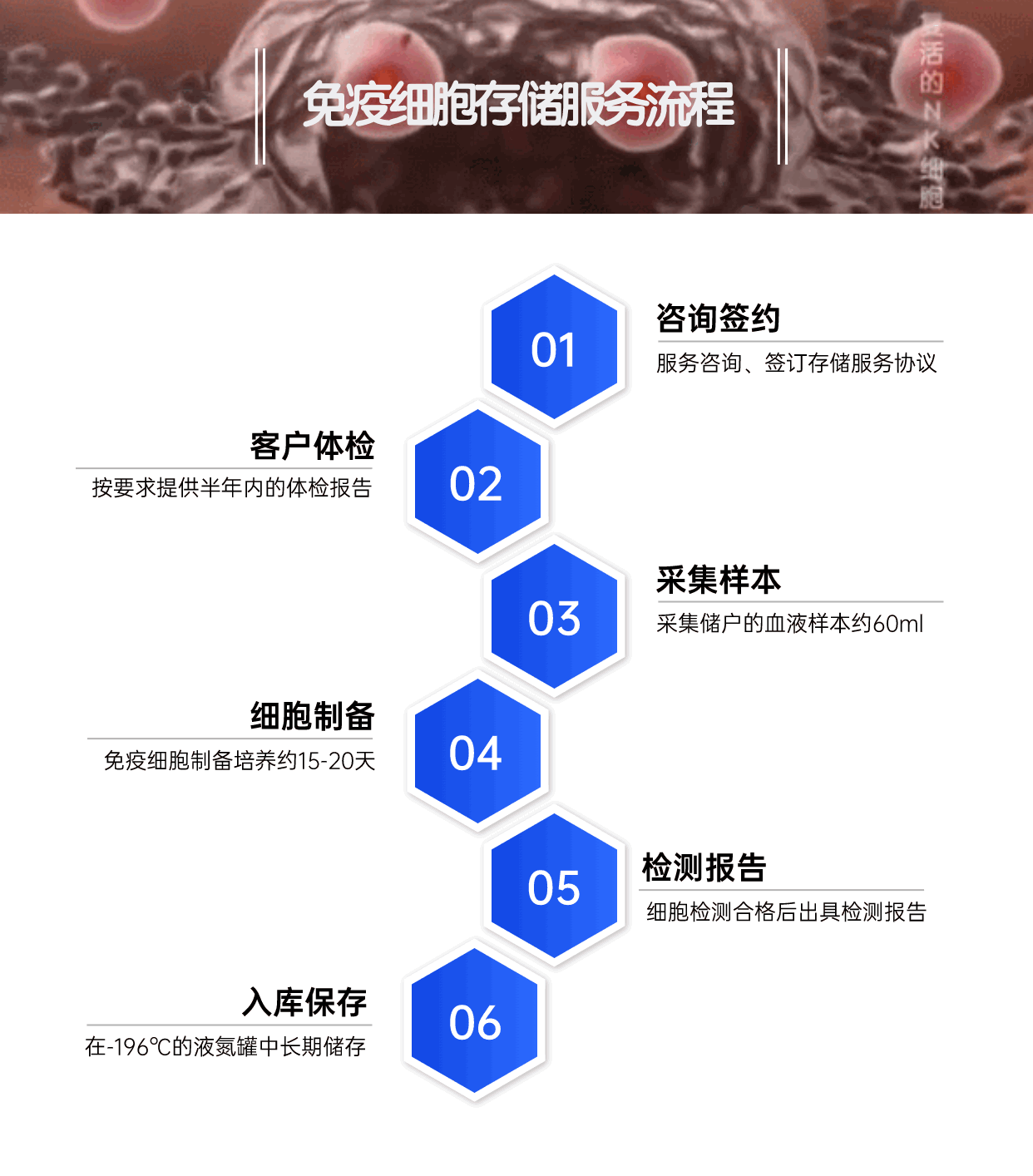 免疫存储流程.gif