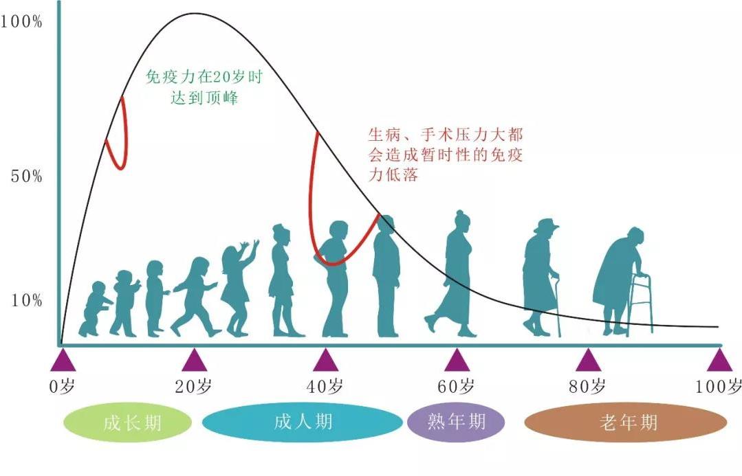 干细胞存储年龄.jpg