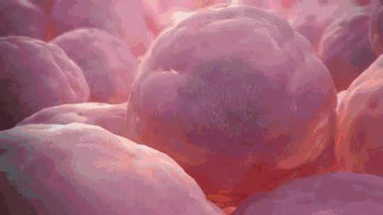 111.gif